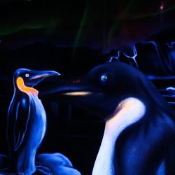 manchot empereur-pingouin-peintures-décor fluo-dessin artistique-décor banquise-univers-animaux menacés-